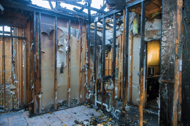 Professional Odor Removal technician working in Hastings, PA