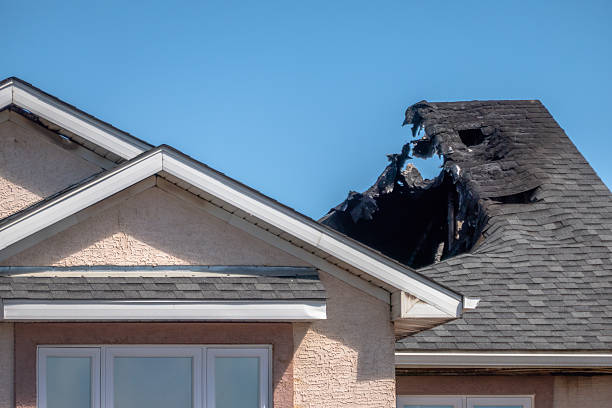 Top rated local Odor Removal specialists in Hastings, PA